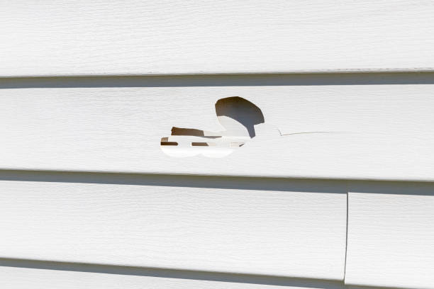 Affordable siding repair and maintenance services in Rocky Point, NC