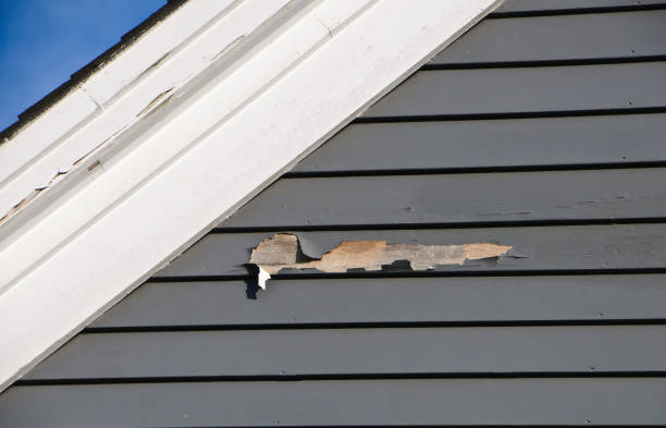 Best Storm Damage Siding Repair  in Rocky Point, NC