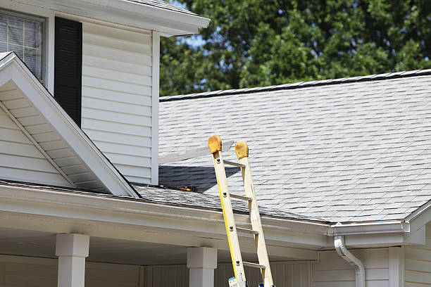 Best Aluminum Siding Installation  in Rocky Point, NC